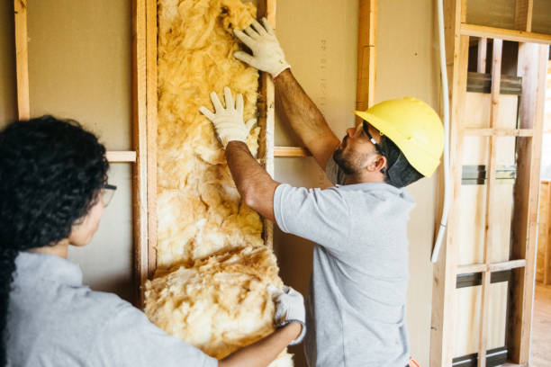 Best Crawl Space Insulation  in Mcqueeney, TX