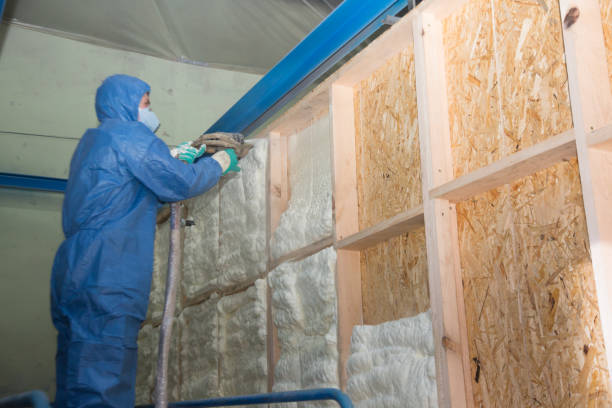 Insulation Repair Services in Mcqueeney, TX