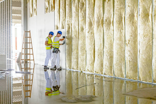 Best Attic Insulation Installation  in Mcqueeney, TX